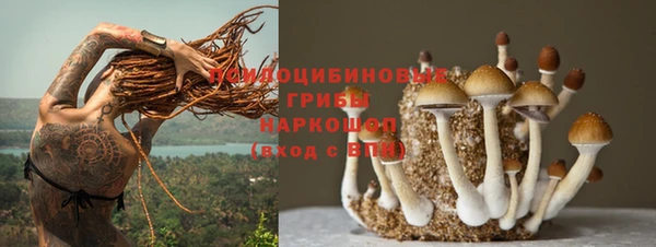 прущая мука Богородицк
