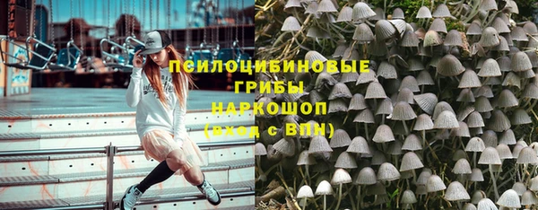 молекула духа Богородск