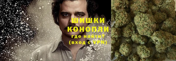экстази Богданович
