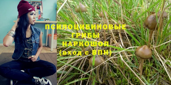 молекула духа Богородск